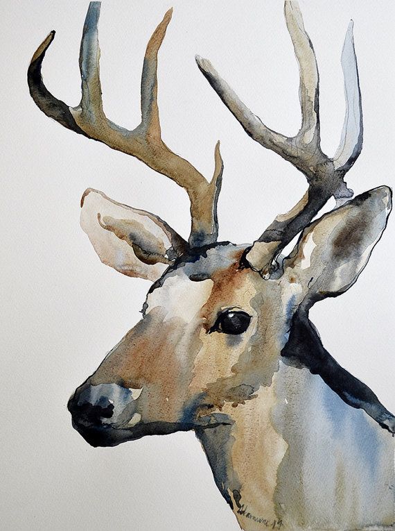 570x765 This Original Watercolor Painting Of A Reindeer Is Painted By Me - Reindeer Watercolor