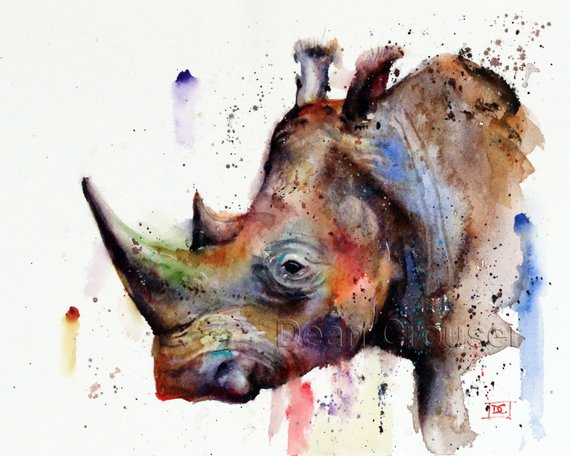 570x456 Rhino Watercolor Print Wildlife Art By Dean Crouser Etsy - Rhino Watercolor