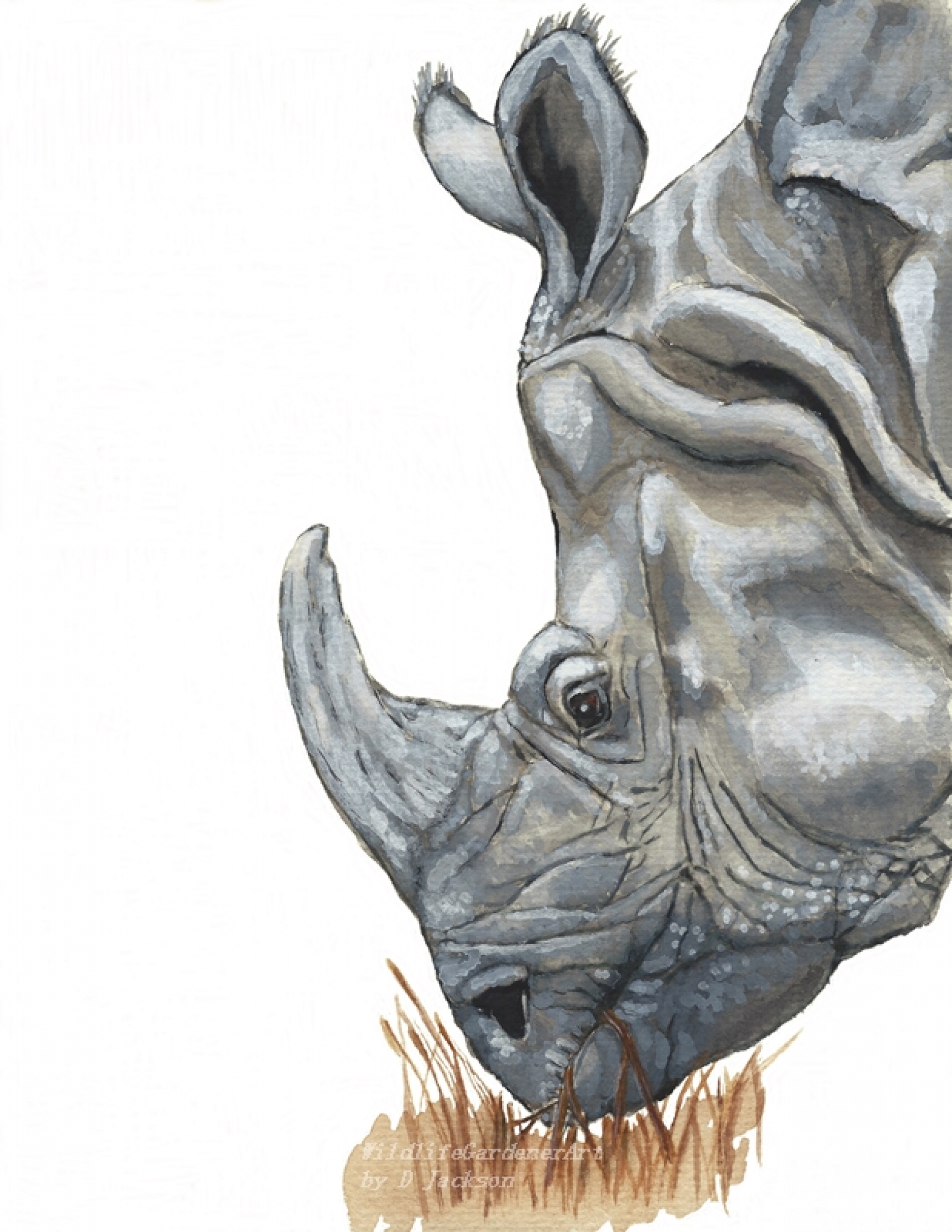 1600x2071 Rhino Watercolor Art Print, Safari Animal Art Wildlife Gardener Art - Rhino Watercolor