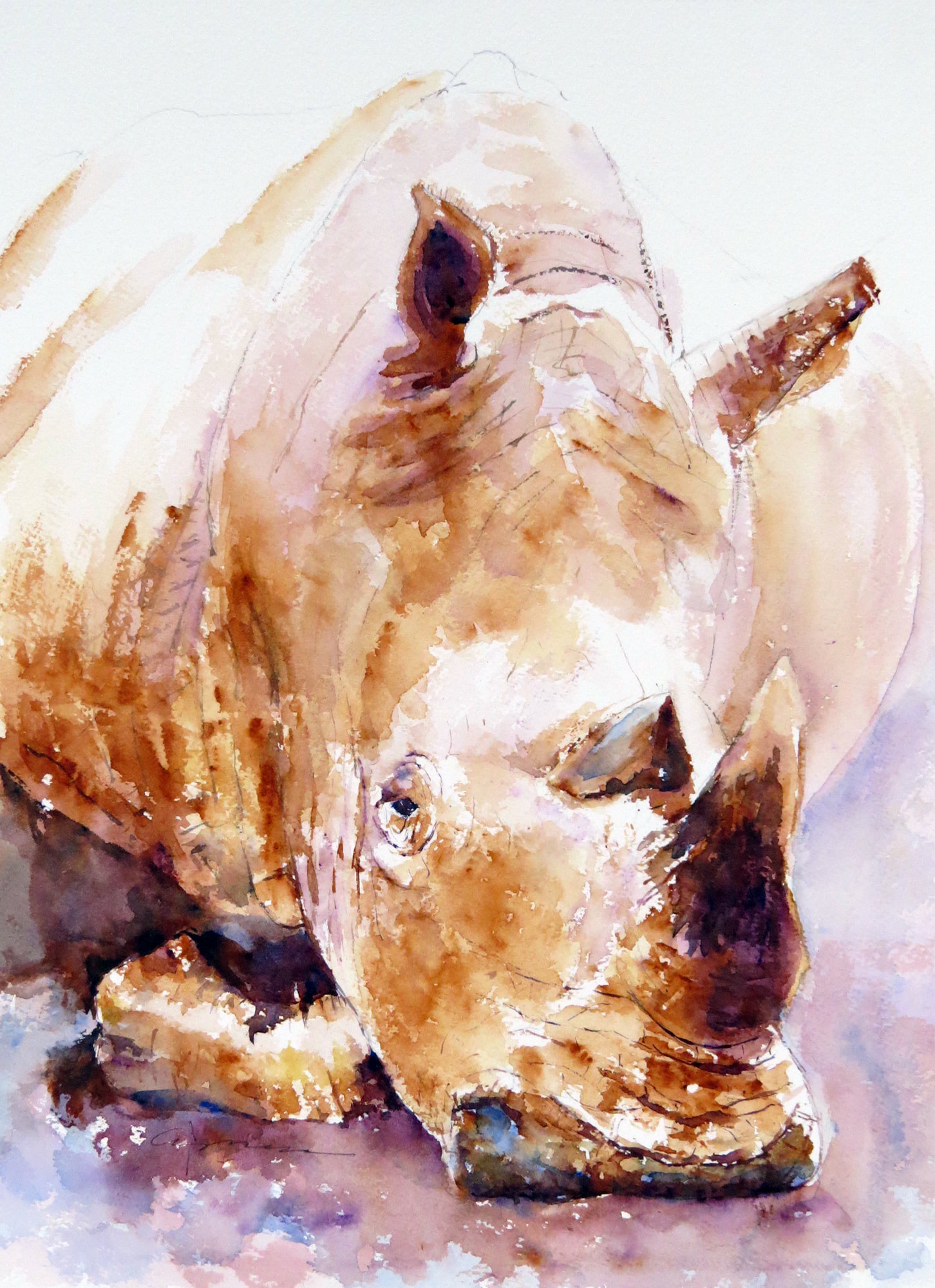 1452x2000 Rhino Watercolor Painting - Rhino Watercolor