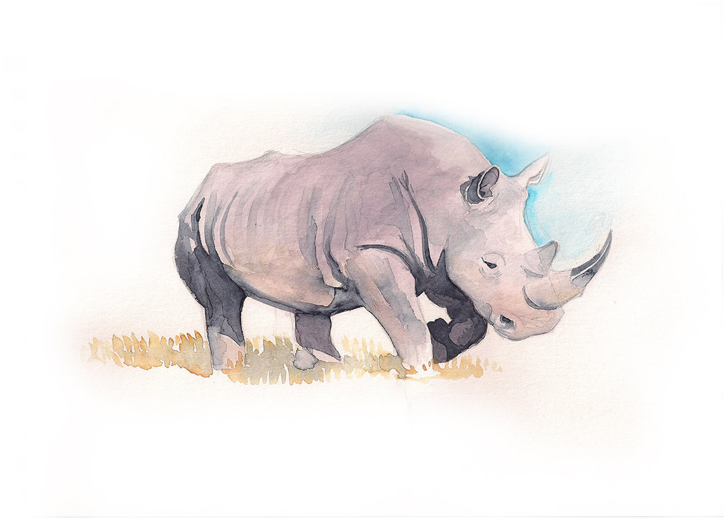 1024x732 Rhino Watercolor By Frankenstoner - Rhino Watercolor