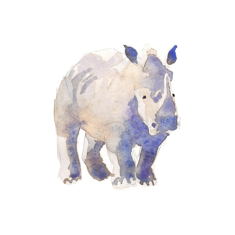 800x800 Watercolor Rhino Wall Art Prints By Haley Mistler Minted - Rhino Watercolor