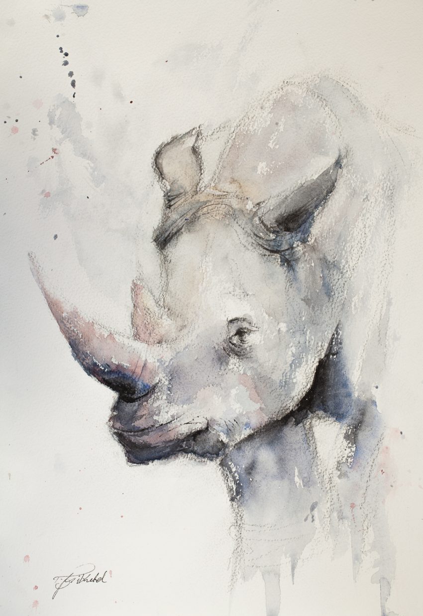 850x1237 Watercolour Rhino - Rhino Watercolor