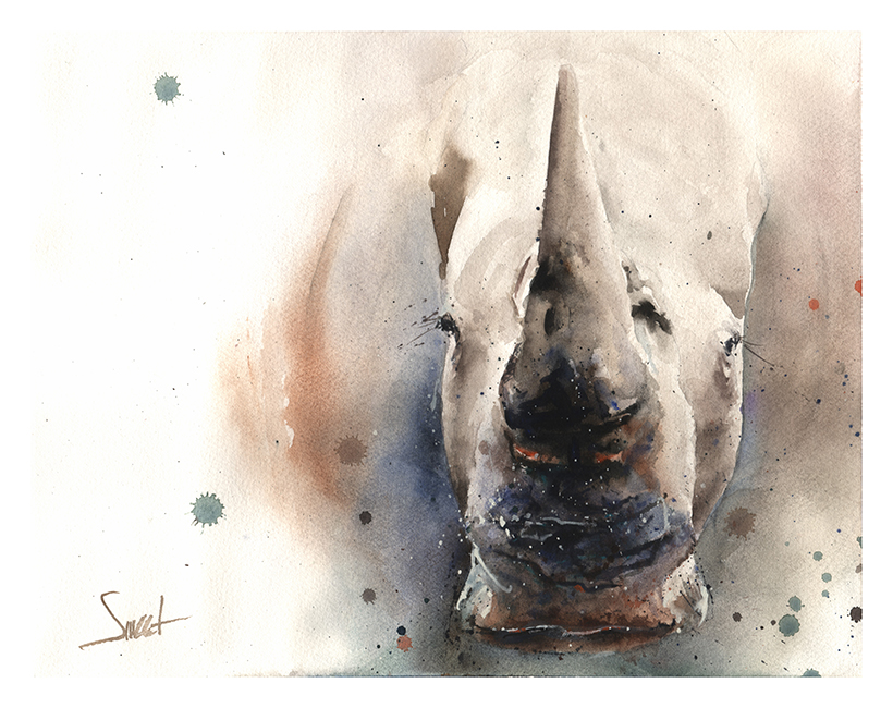 820x650 White Rhino Watercolor Print Watercolor Animal Paintings - Rhino Watercolor