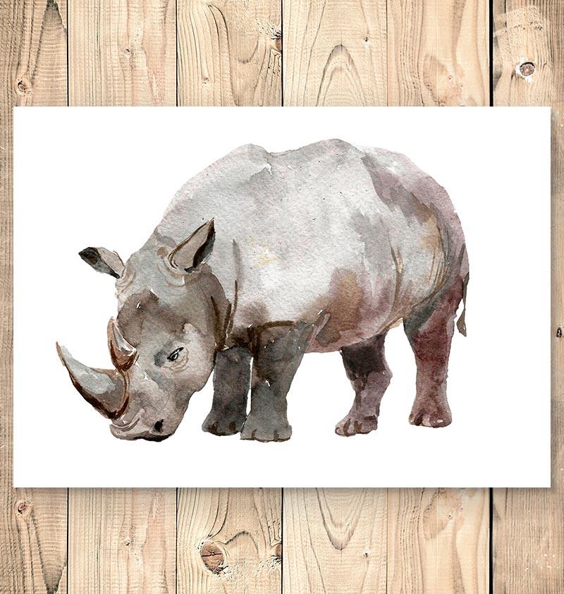 800x842 Animal Art - Rhino Watercolor
