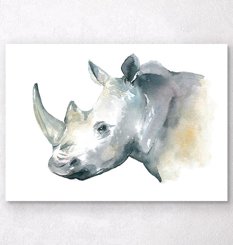 800x842 Animal Print - Rhino Watercolor