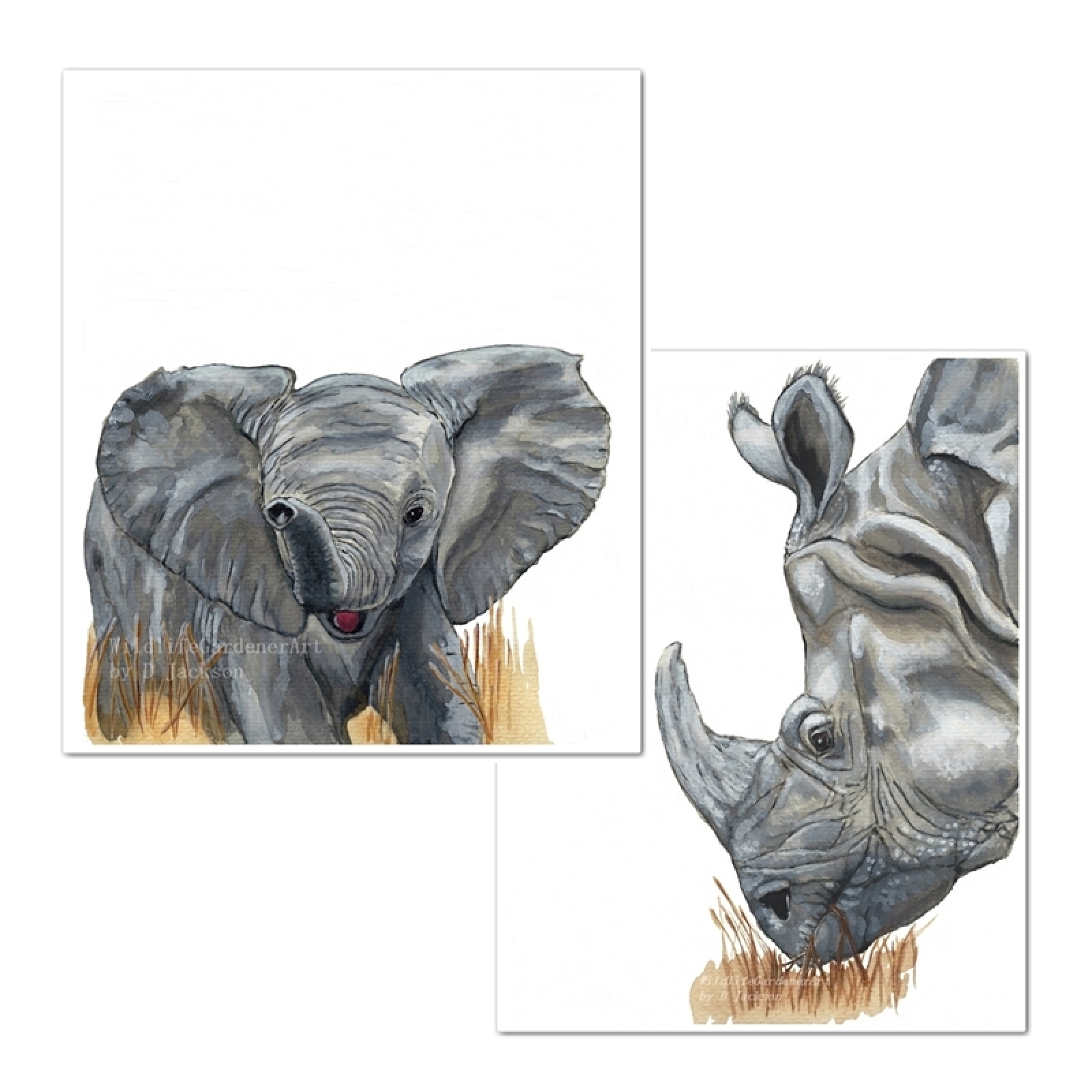 1600x1600 Baby Elephant And Rhino Watercolor Art Prints, Set Of 2 Wildlife - Rhino Watercolor