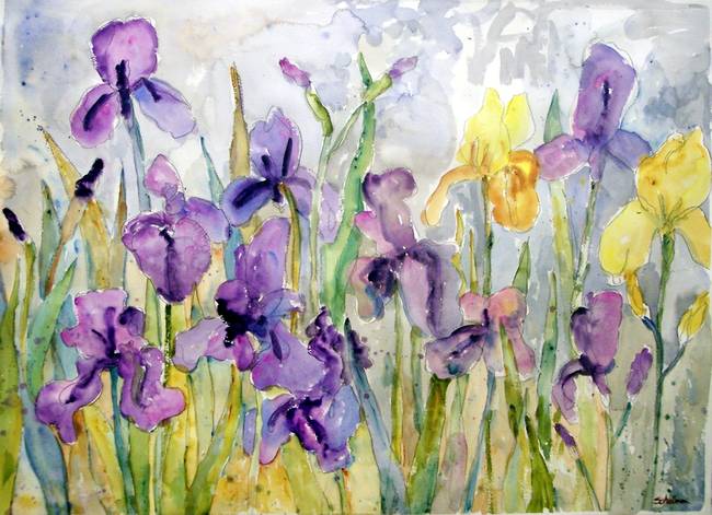 650x471 Romantic Ruffles, Watercolor Painting Purple Irise By Miriam Schulman - Romantic Watercolor
