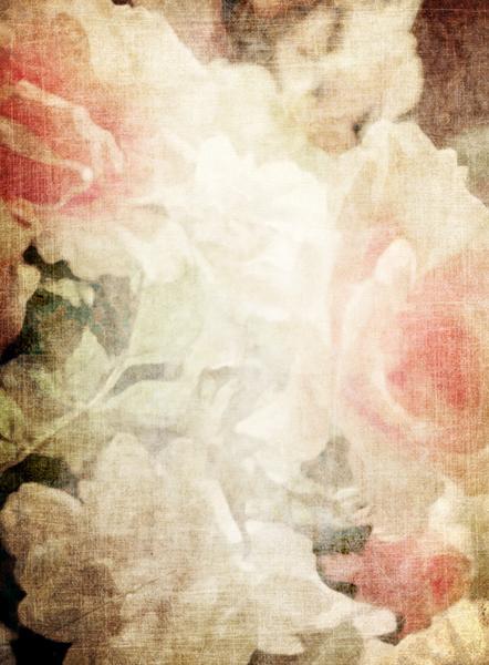 442x600 Romantic Watercolor Floral Backdrops Click Props Backdrops - Romantic Watercolor