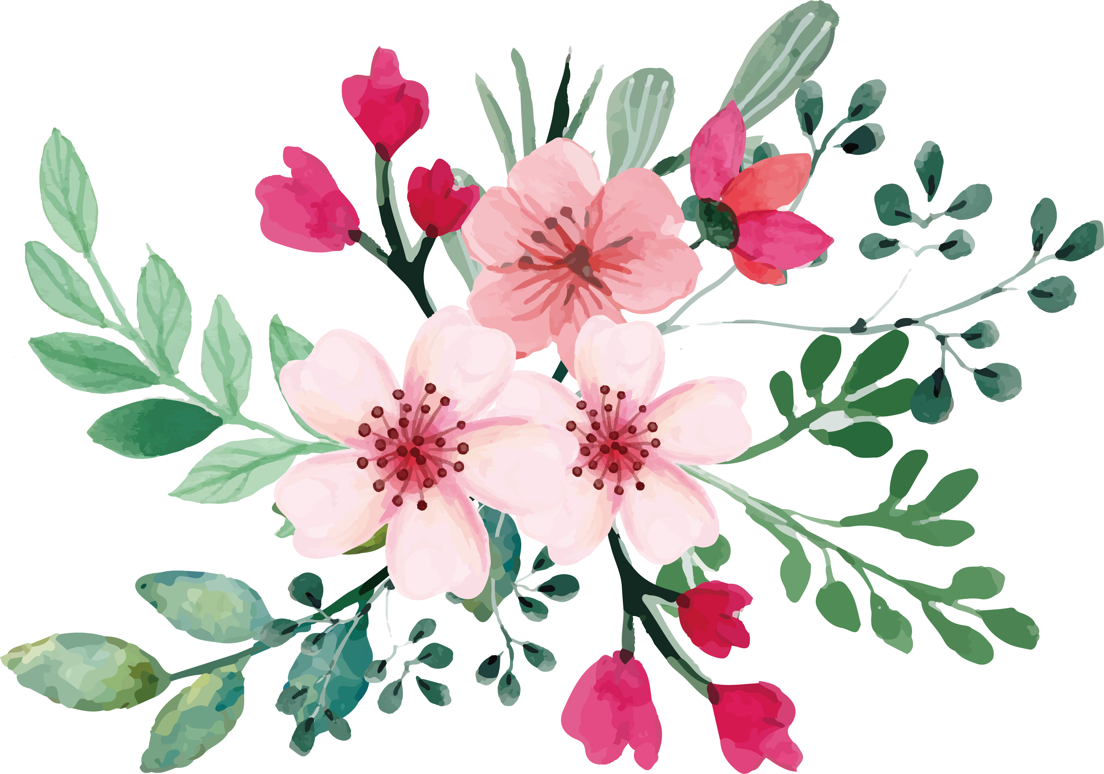 3698x2592 Romantic Watercolor Cherry Blossom Bouquet 36982592 Transprent - Romantic Watercolor