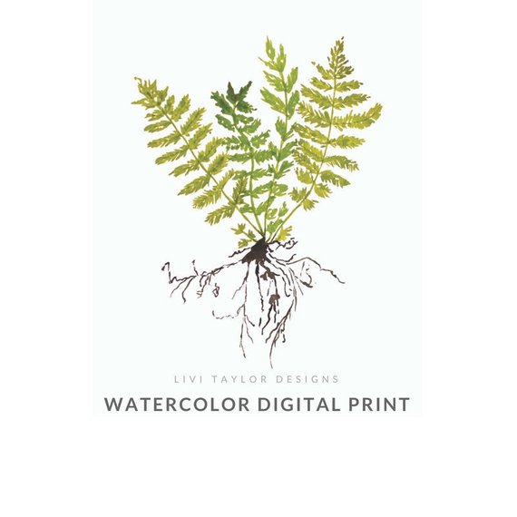 570x570 Plant With Roots Watercolor Painting Nature Printable Art Etsy - Roots Watercolor
