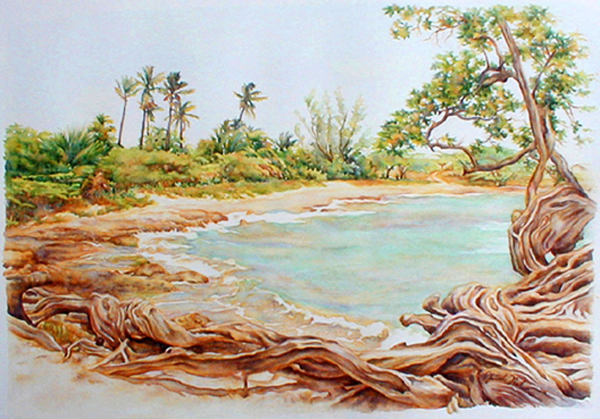 1920x1339 Treasure Roots - Roots Watercolor