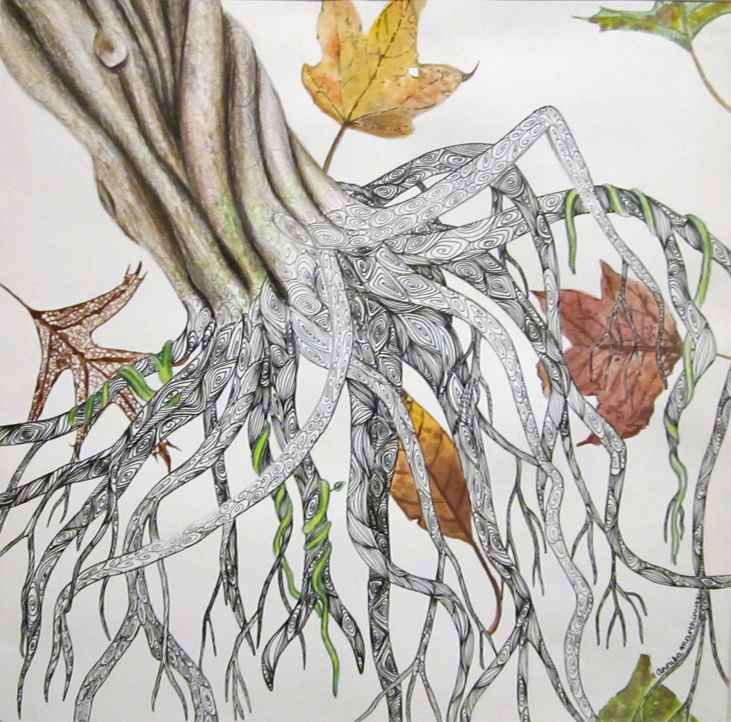 2381x2350 Trees Annika Marthinuss - Roots Watercolor