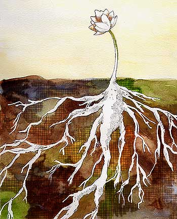 350x431 Watercolor Paintings, Illustration, Inspiration And Creativity - Roots Watercolor