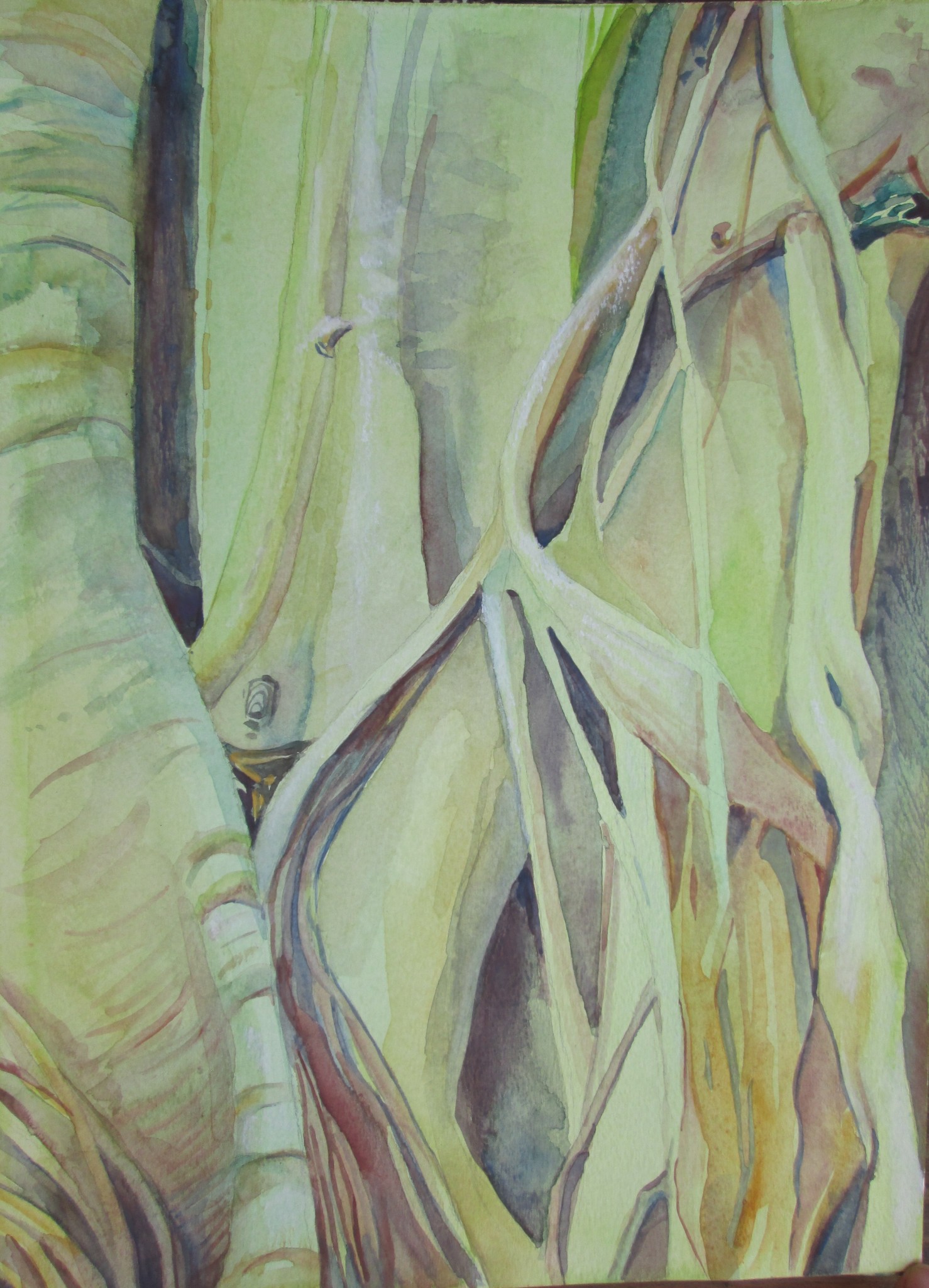 1478x2048 Dancing Roots Watercolor - Roots Watercolor