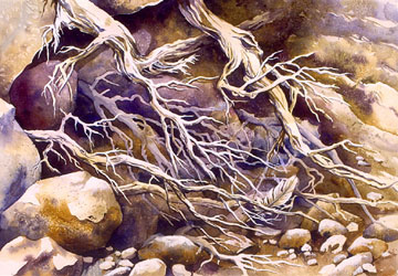 360x250 Denise Rich Artist Bend, Oregonpaintings, Workshops And - Roots Watercolor