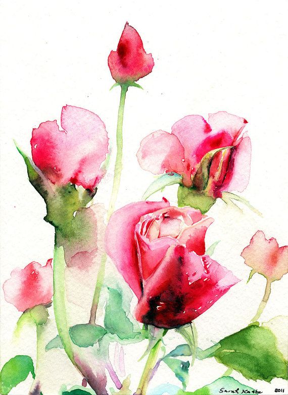 570x783 Photos Rose Art Watercolor Paint, - Rose Art Watercolors