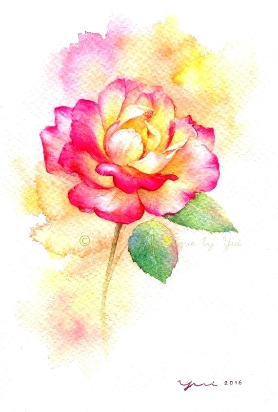 570x844 Rose Water Color Print Rose Watercolor Painting X Artist From - Rose Art Watercolors