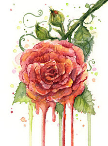 223x300 Watercolor Flower Paintings Fine Art America - Rose Art Watercolors
