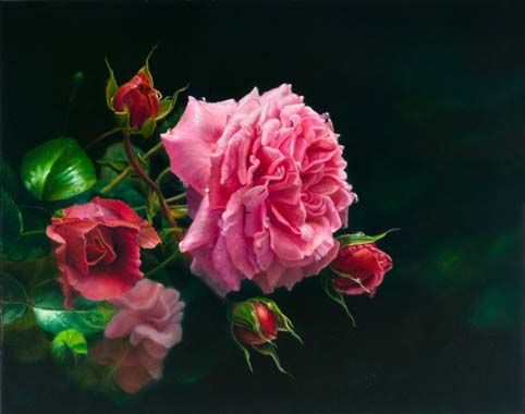 482x380 Flower, Rose, Oil Painting Of Pink And Red Roses On Black - Rose Art Watercolors