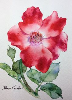 236x325 45 Best Roses Watercolor Paintings Images In 2018 - Rose Art Watercolors