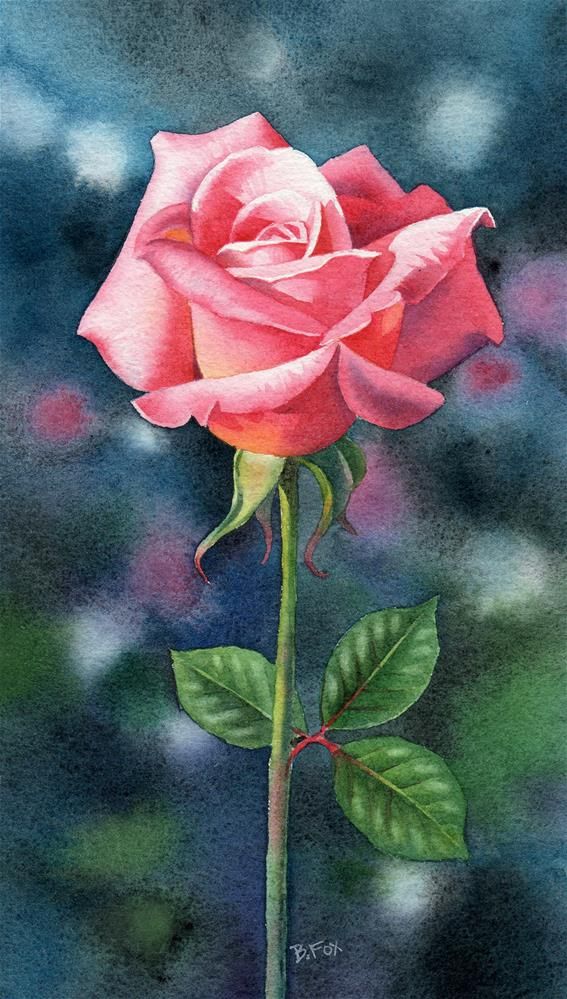 567x999 Brandywine Rose Original Fine Art By Barbara Fox My Pictures - Rose Art Watercolors