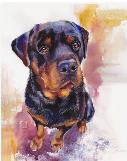 425x536 Rottweiler - Rottweiler Watercolor