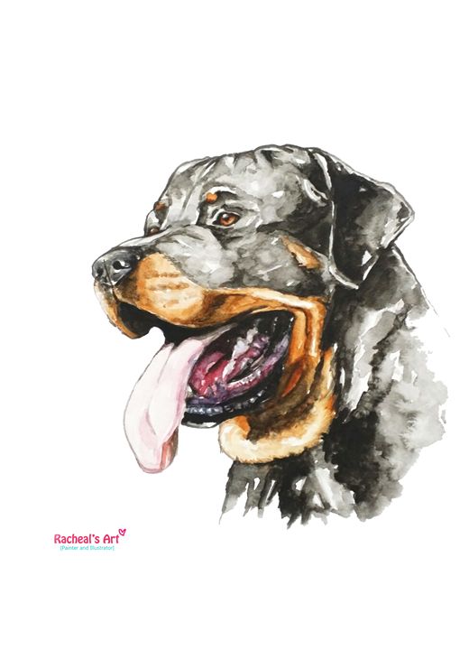 520x720 Rottweiler Watercolor Painting - Rottweiler Watercolor