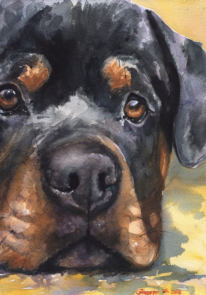 700x1000 Rottweiler Watercolor Print Of The Original Watercolor Painting - Rottweiler Watercolor