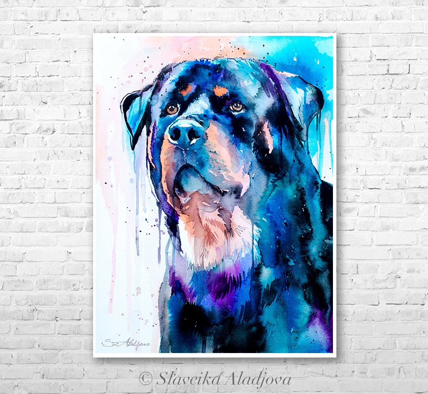 869x799 Rottweiler Watercolor Painting By Slaveika Aladjova On Behance - Rottweiler Watercolor