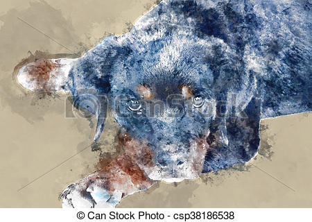 450x320 Watercolor Image Of Rottweiler Puppy Are Looking. - Rottweiler Watercolor
