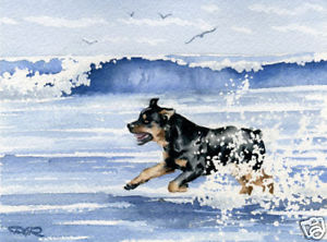 300x222 Rottweiler Art Print Beach Watercolor Painting Dog 8 X 10 Signed - Rottweiler Watercolor