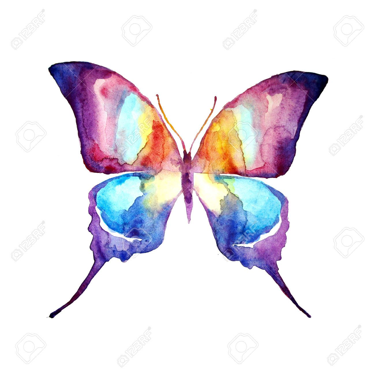 1300x1300 Butterfly,watercolor Design Tattoos Butterfly - Royalty Free Watercolor