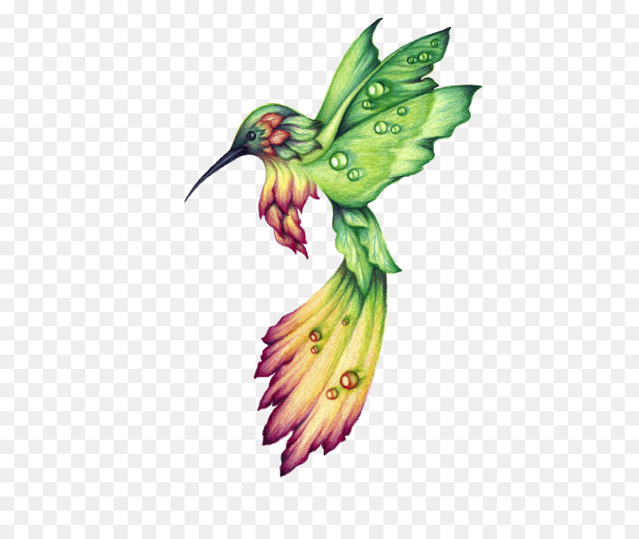 900x760 Hummingbird Drawing Birds Watercolor Painting - Ruby Throated Hummingbird Watercolor