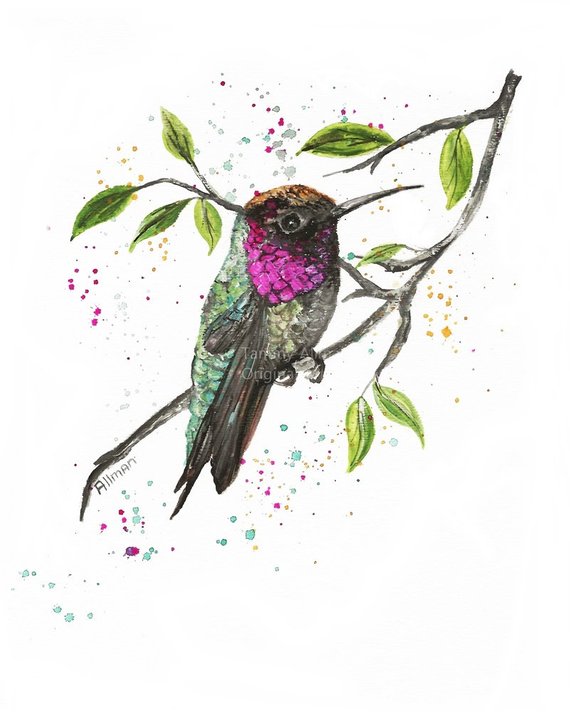 570x715 Ruby Throat Hummingbird Watercolor Hummingbird Series Etsy - Ruby Throated Hummingbird Watercolor