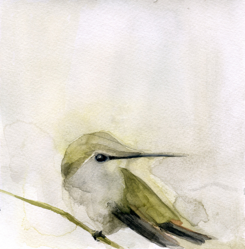 790x800 Ruby Throated Hummingbird - Ruby Throated Hummingbird Watercolor