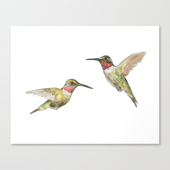 700x700 Ruby Throated Hummingbird Watercolor Canvas Print By Susanwindsor - Ruby Throated Hummingbird Watercolor