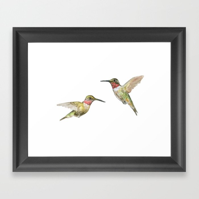 700x700 Ruby Throated Hummingbird Watercolor Framed Art Print By - Ruby Throated Hummingbird Watercolor
