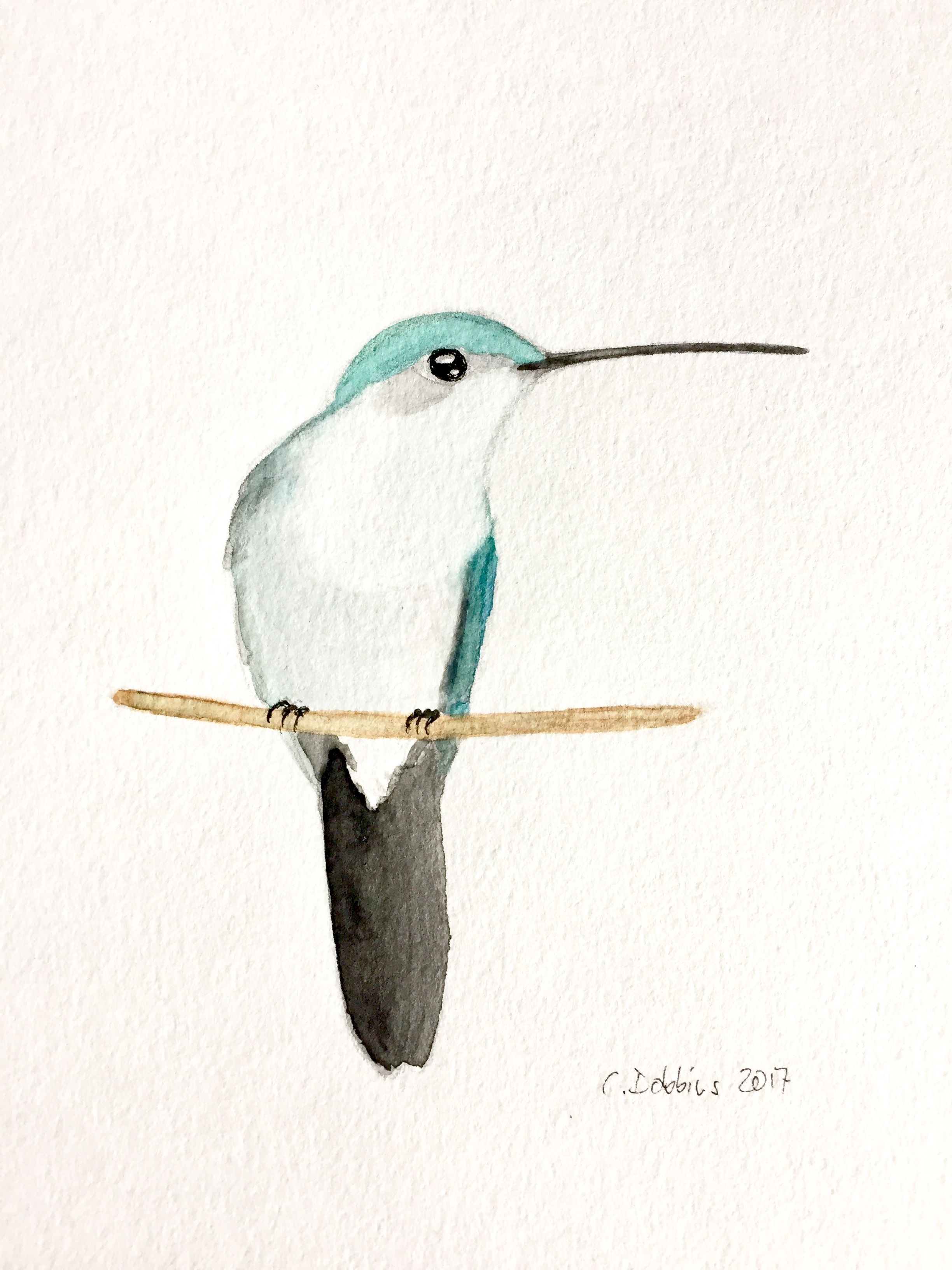 2448x3264 Ruby Throated Hummingbird Female (Juvenile) Hummingbird - Ruby Throated Hummingbird Watercolor