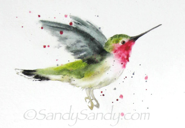 600x414 Sandy Sandy Art Hummingbird Painting - Ruby Throated Hummingbird Watercolor