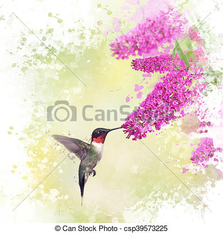 450x470 Hummingbird And Butterfly Bush Watercolor. Digital Painting Of - Ruby Watercolor