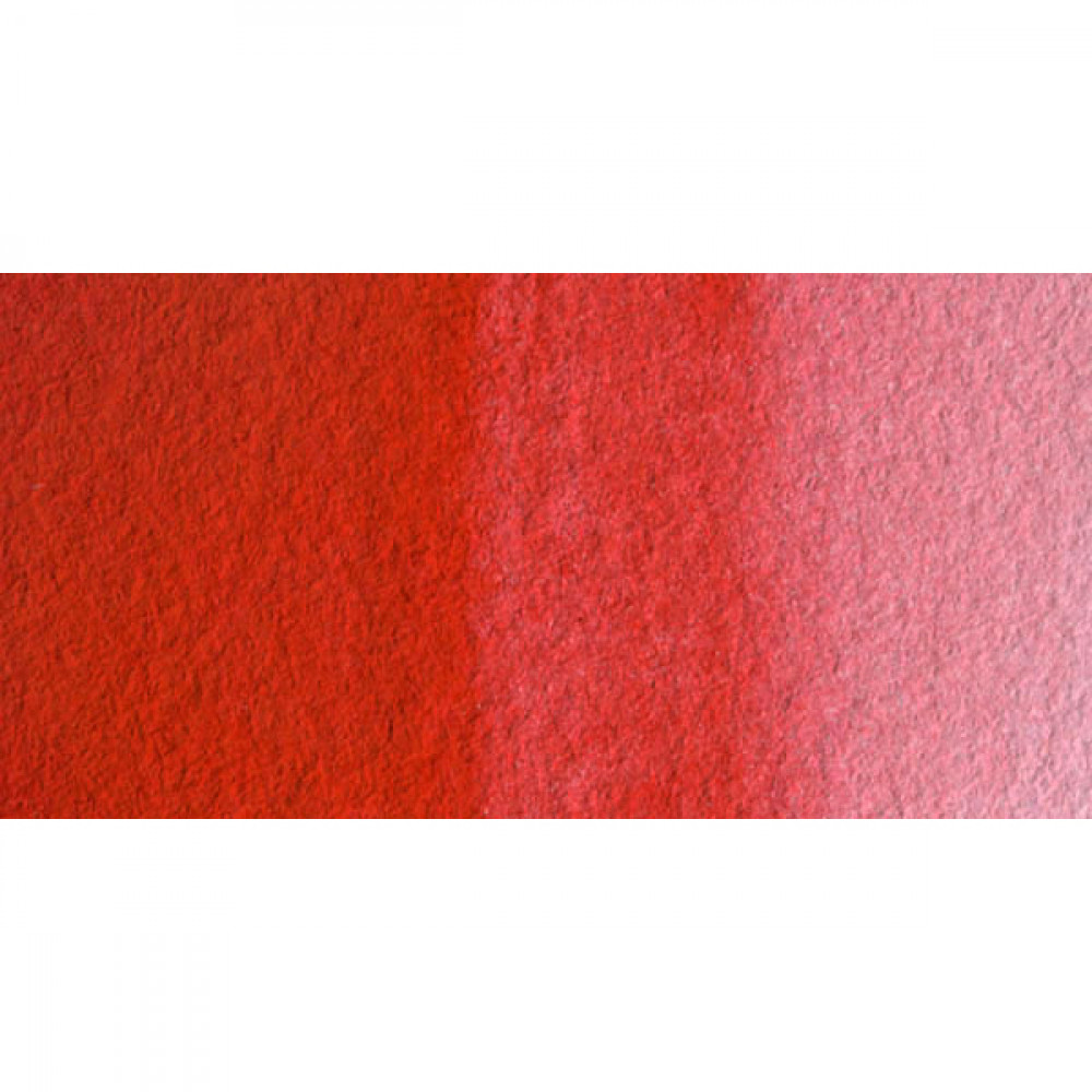 1000x1000 11 Tab St. Petersburg Ruby 323 Watercolor - Ruby Watercolor