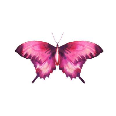400x400 Watercolor Red Butterfly With Ruby Art Print By Eisfrei - Ruby Watercolor