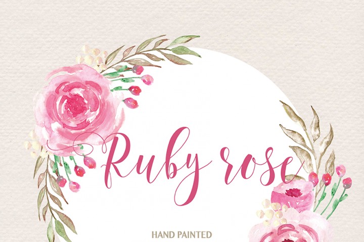 720x479 Watercolor Ruby Rose Clipart, Watercolor Flower, Pink Floral - Ruby Watercolor
