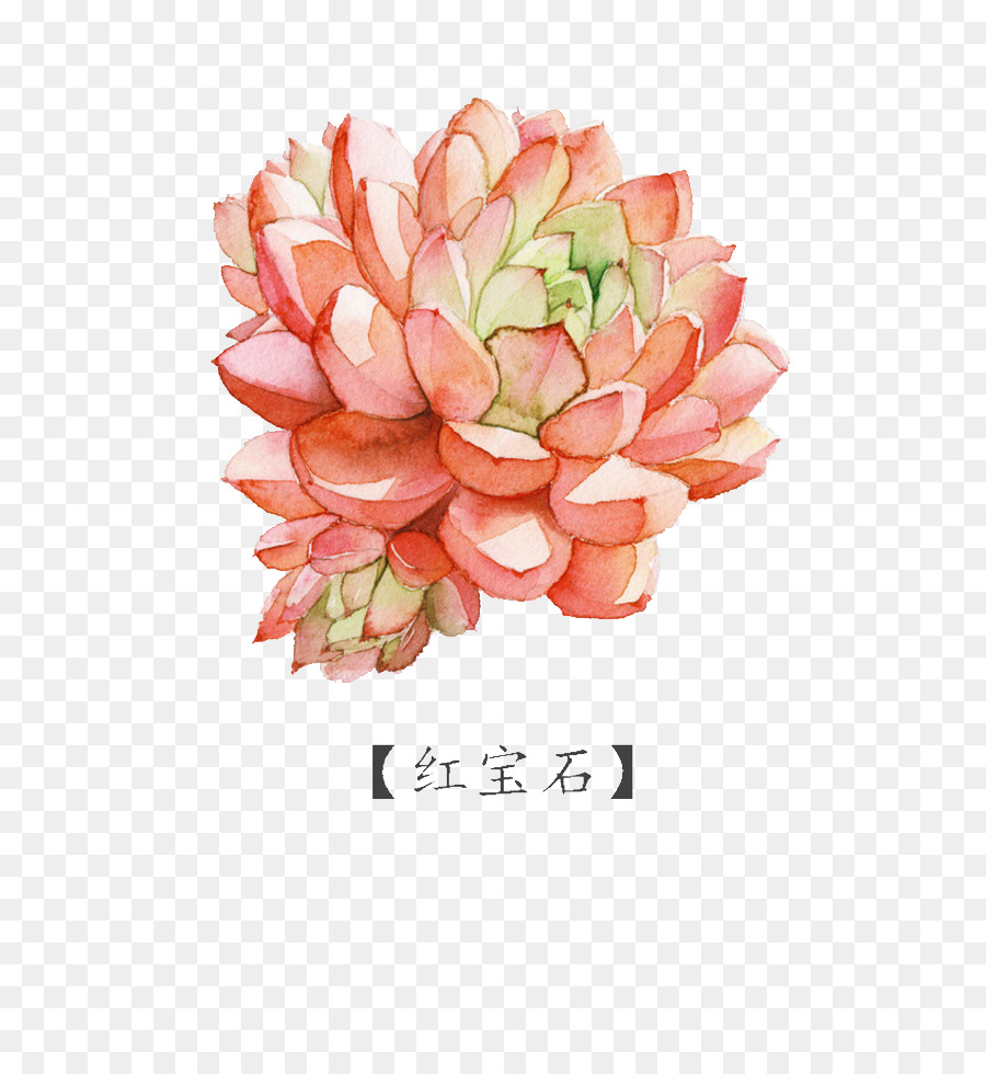 900x980 Watercolor Painting Succulent Plant - Ruby Watercolor