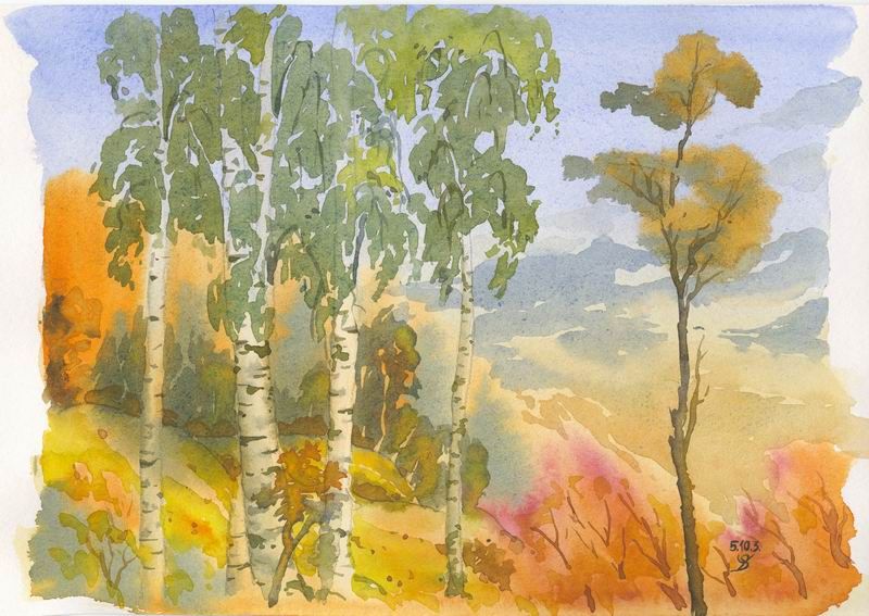 800x567 The Fall (Russian Birches) Watercolors Birch - Russian Watercolor
