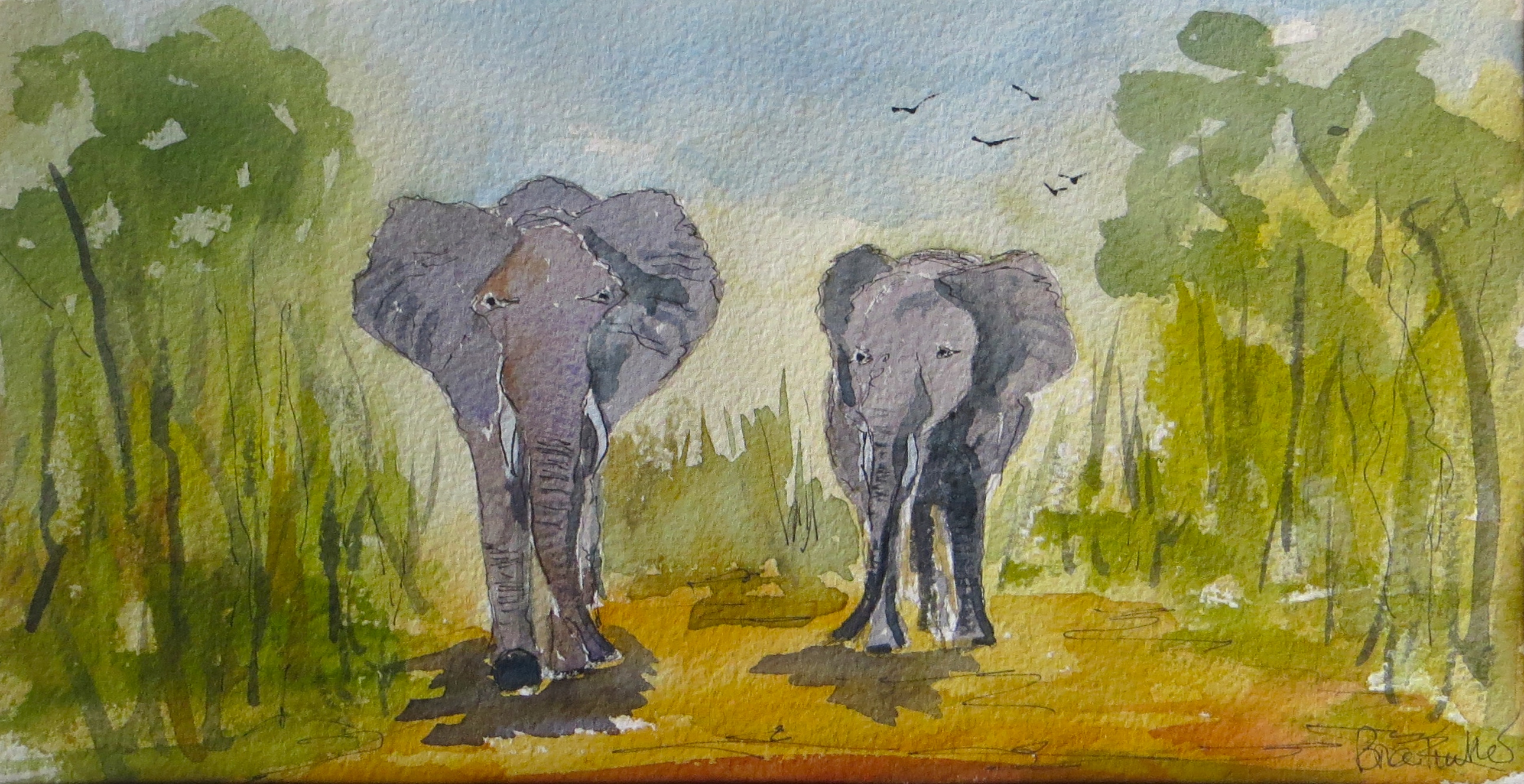 2579x1327 Artists Artonthehill - Safari Watercolor