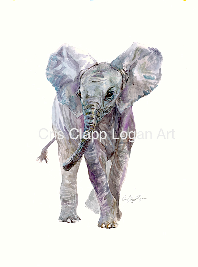 640x864 Baby Elephant Original Safari Watercolor - Safari Watercolor