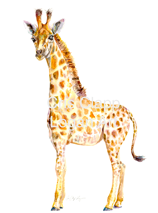 640x864 Baby Giraffe Original Safari Watercolor Painting - Safari Watercolor
