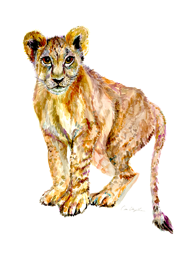 640x864 Baby Lion Cub Original Safari Watercolor Painting - Safari Watercolor